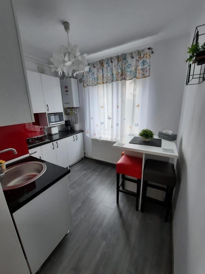 Croma Studio Petrosani Daire Dış mekan fotoğraf